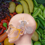 alimentacion para la neuralgia