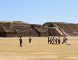 portecciçon en zona arqueologica
