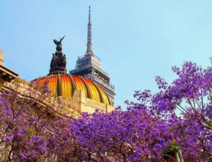 Primavera en CDMX
